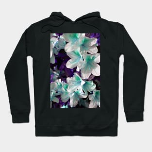 Encore Azalea Flowers 2 Hoodie